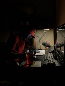 dult studying laptop home night